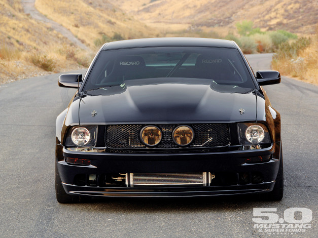 Обои картинки фото автомобили, mustang