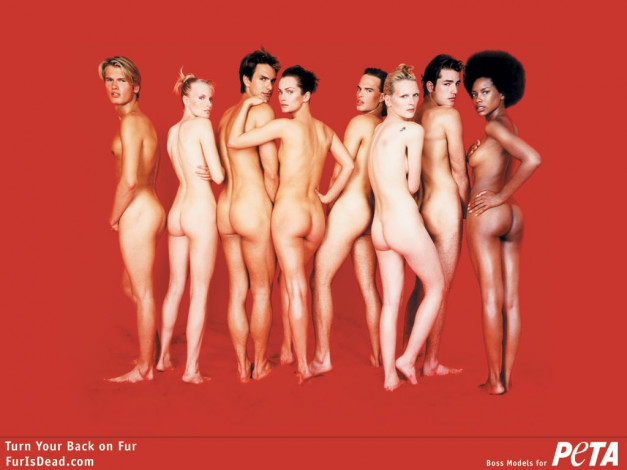 Обои картинки фото peta, бренды, people, for, the, ethical, treatment, of, animals