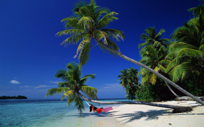 Обои картинки фото природа, тропики