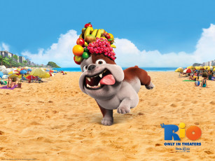 Картинка мультфильмы rio