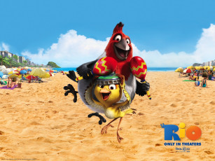 Картинка мультфильмы rio