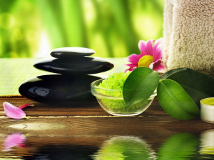 Картинка разное ракушки кораллы декоративные spa камни