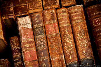 Картинка разное канцелярия книги коншки старинный