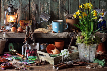 Картинка разное -+другое всякая всячина