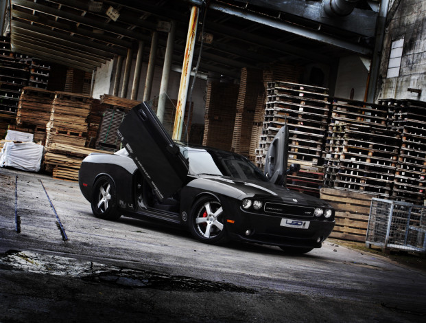 Обои картинки фото автомобили, dodge, kw