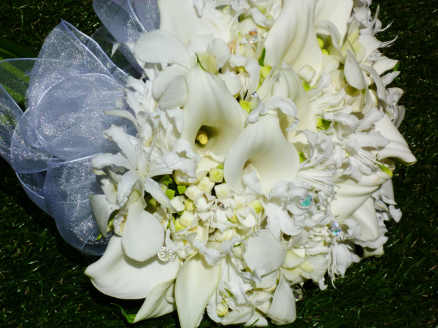 Обои картинки фото цветы, букеты,  композиции, букет, каллы, гортензия, лилии