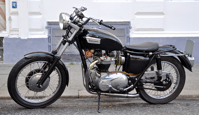 Обои картинки фото мотоциклы, triumph