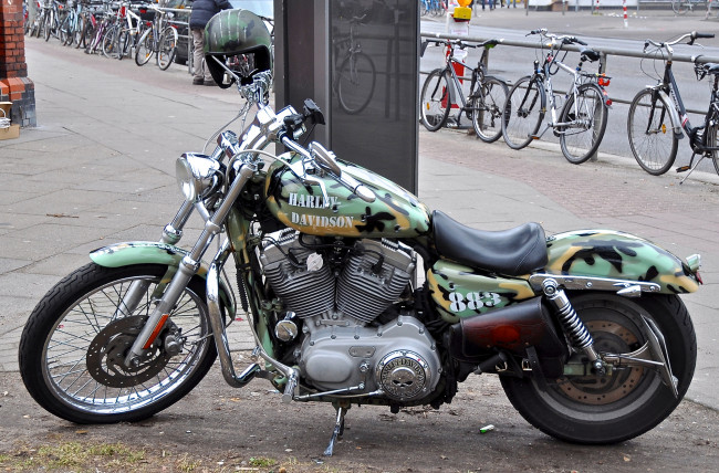 Обои картинки фото мотоциклы, harley-davidson, sportster