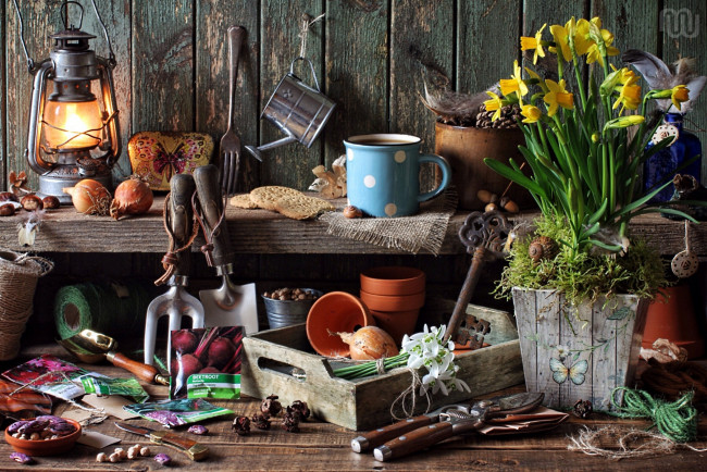 Обои картинки фото разное, - другое, всякая, всячина