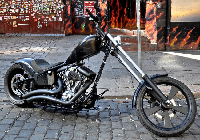 Обои картинки фото мотоциклы, customs, chopper