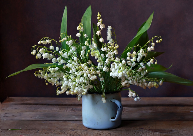 Обои картинки фото цветы, ландыши, букетик, кружка