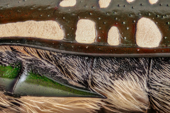 Картинка разное текстуры текстура макро