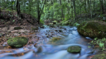Картинка природа реки озера деревья река лес