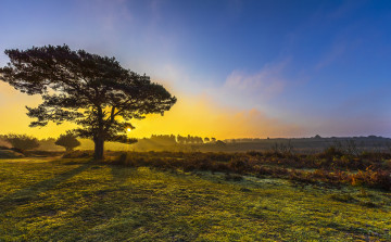 Картинка природа восходы закаты рассвет