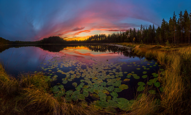 Обои картинки фото природа, реки, озера, рассвет