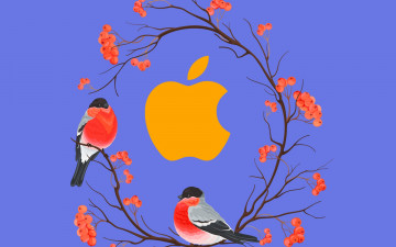 обоя компьютеры, apple, логотип, фон