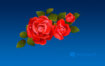 Картинка компьютеры windows++10 логотип фон