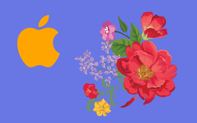 Обои картинки фото компьютеры, apple, логотип, фон