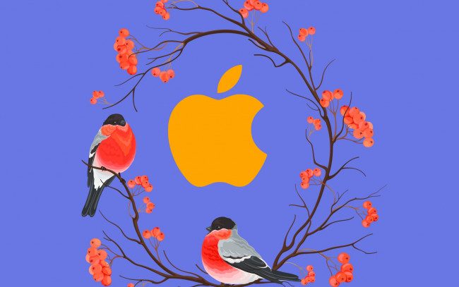 Обои картинки фото компьютеры, apple, логотип, фон