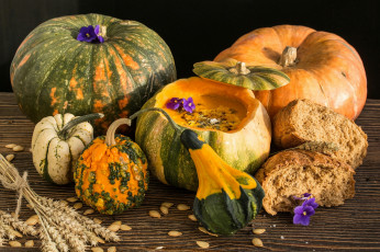 Картинка еда тыква тыквы