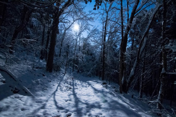 Картинка природа зима простор