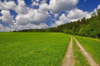 Картинка природа дороги дорога поле