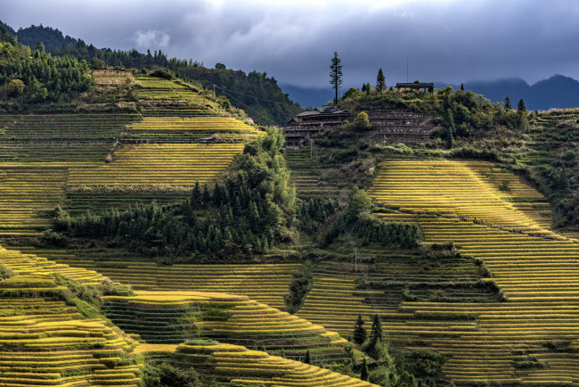 Обои картинки фото природа, пейзажи, простор