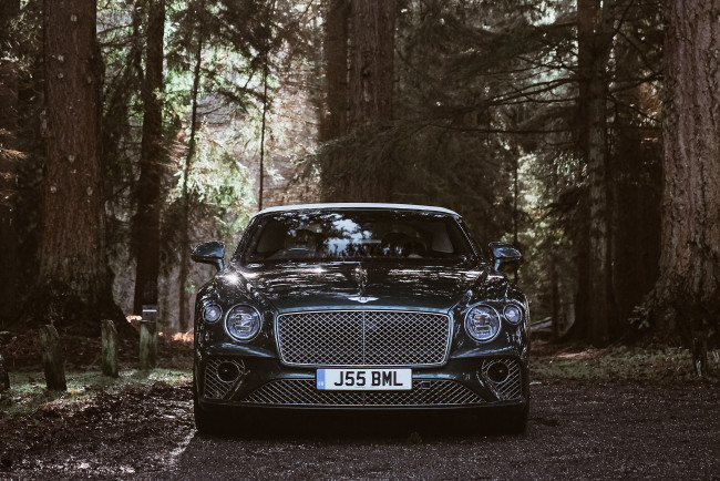 Обои картинки фото автомобили, bentley, mulsanne, 675, edition, 2021, вид, спереди, экстерьер, новый, британские, лес, природа