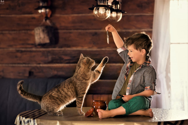 Обои картинки фото разное, дети, мальчик, кот, стол, рыбка