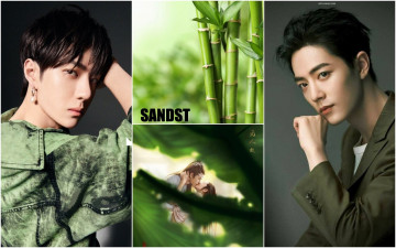 Картинка разное компьютерный+дизайн ван ибо сяо чжань бамбук лань ванцзи вэй усянь