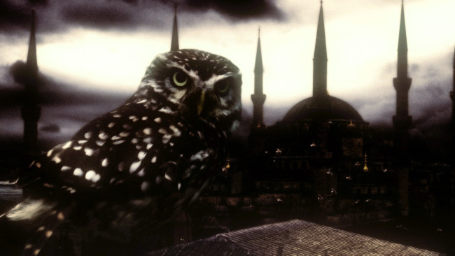 Обои картинки фото разное, компьютерный дизайн, сова, город, мечеть
