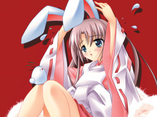 Картинка аниме animals