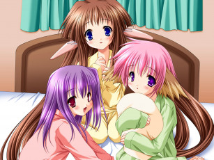 Картинка аниме *unknown другое