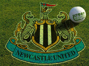 Картинка спорт эмблемы клубов