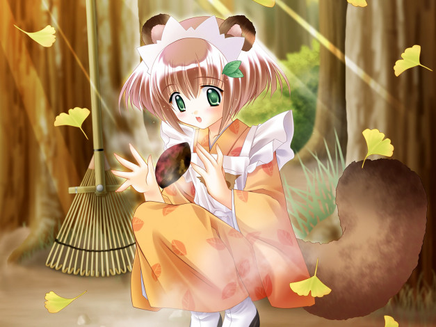 Обои картинки фото аниме, animals