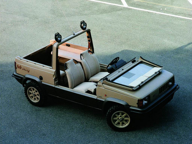 Обои картинки фото автомобили, fiat