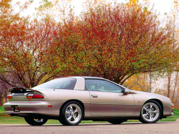 Обои картинки фото автомобили, camaro