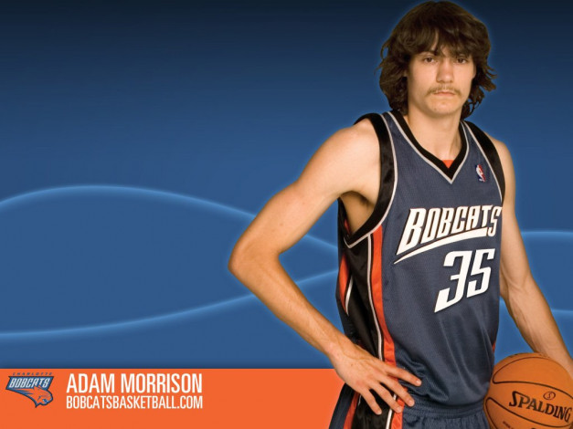 Обои картинки фото спорт, баскетбол