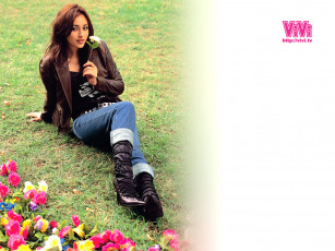 Картинка бренды vivi