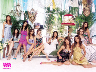 Картинка бренды vivi