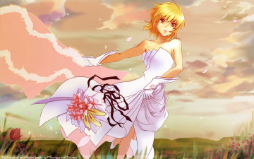 Картинка аниме gundam seed