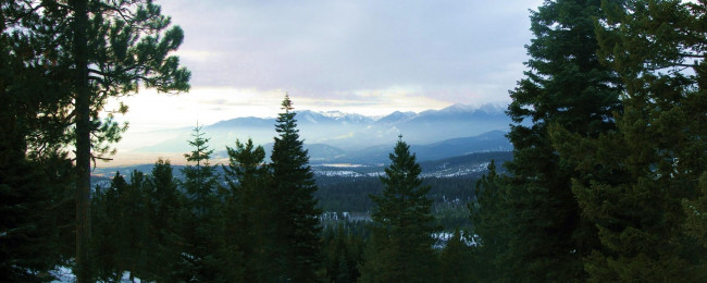 Обои картинки фото природа