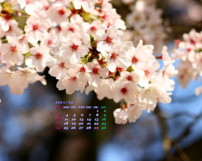 Картинка календари цветы