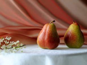 Картинка еда груши