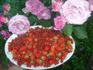 Картинка еда клубника земляника