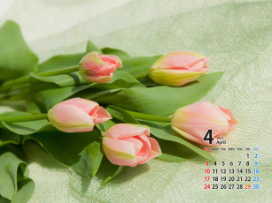 Картинка календари цветы
