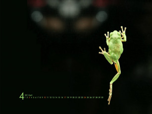 Картинка календари животные