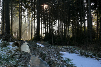 Картинка природа дороги Чехия карловарский край