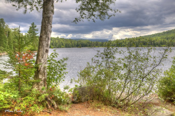 Картинка parc national de la mauricie lake bouchard природа реки озера квебек