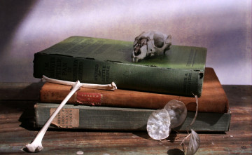 Картинка разное канцелярия книги череп кости